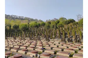 重庆陵园 墓区景色