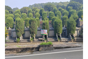 老红军之墓