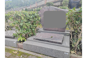 审批文件手续