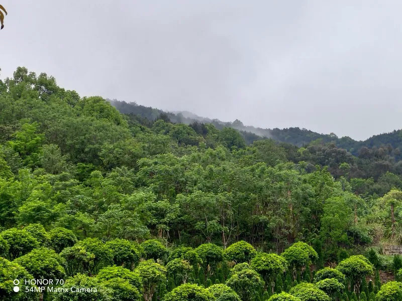 thumb_IMG_20230422_100648