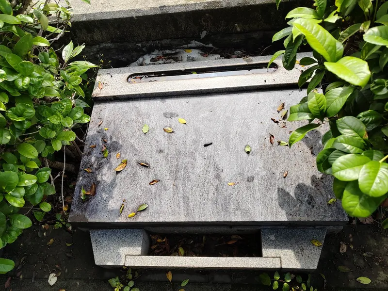 thumb_IMG_20230419_101047